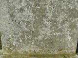 image of grave number 207123